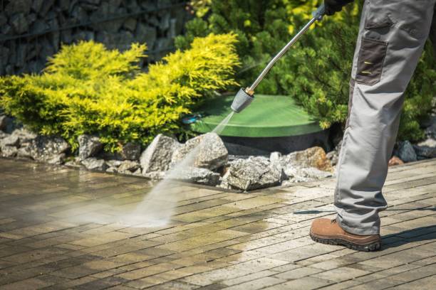 Best Spring Cleaning  in Red Lake Falls, MN